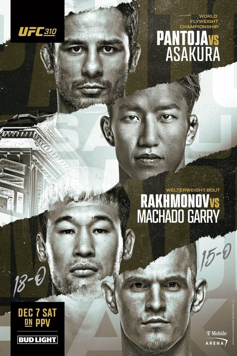 Poster of UFC 310: Pantoja vs. Asakura