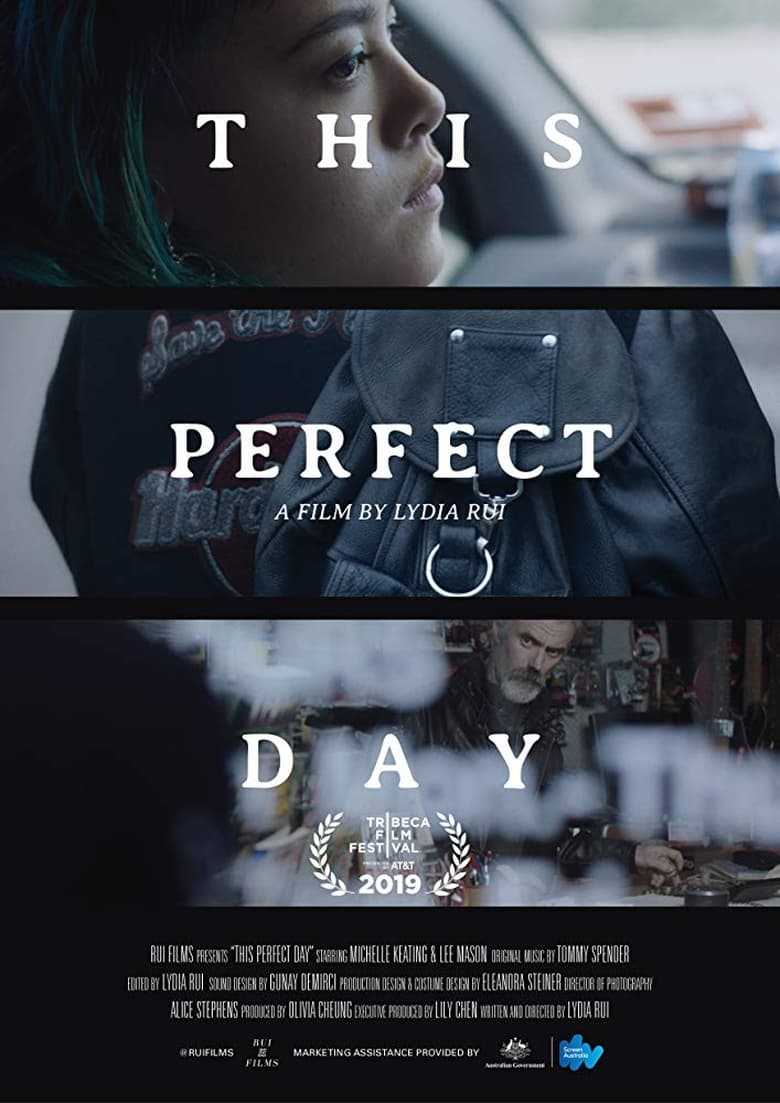 Poster of This Perfect Day