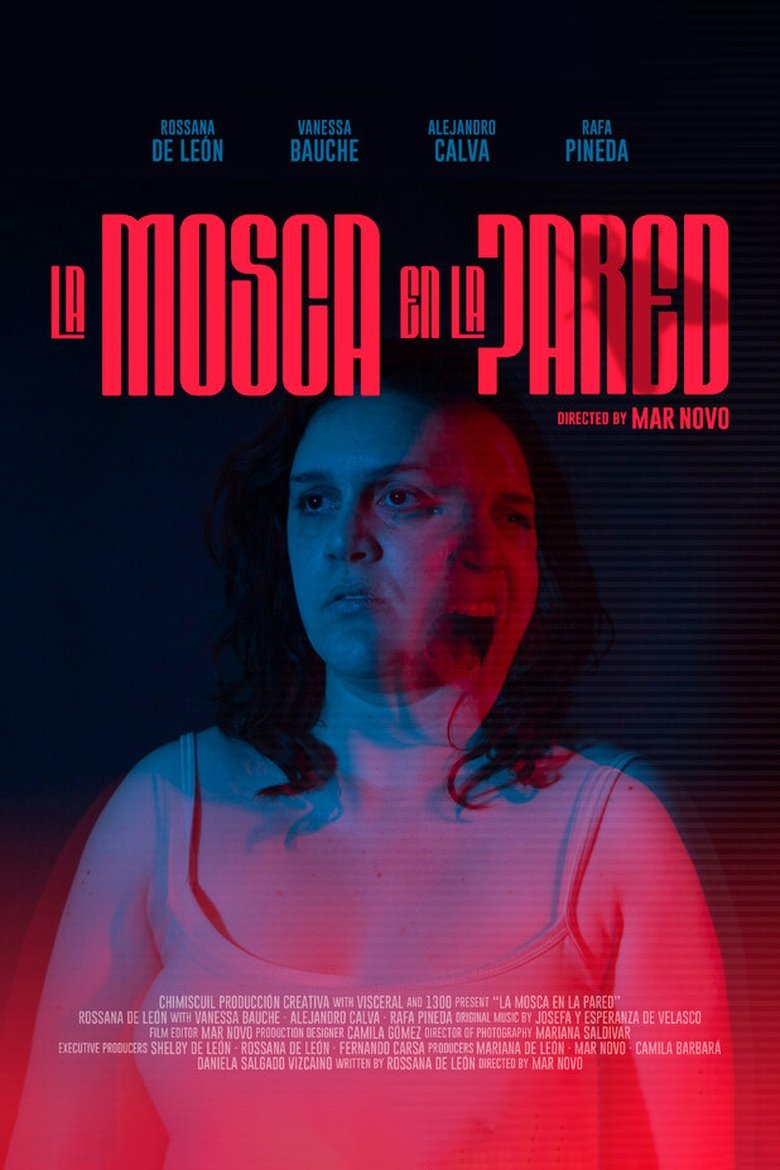 Poster of La Mosca en la Pared
