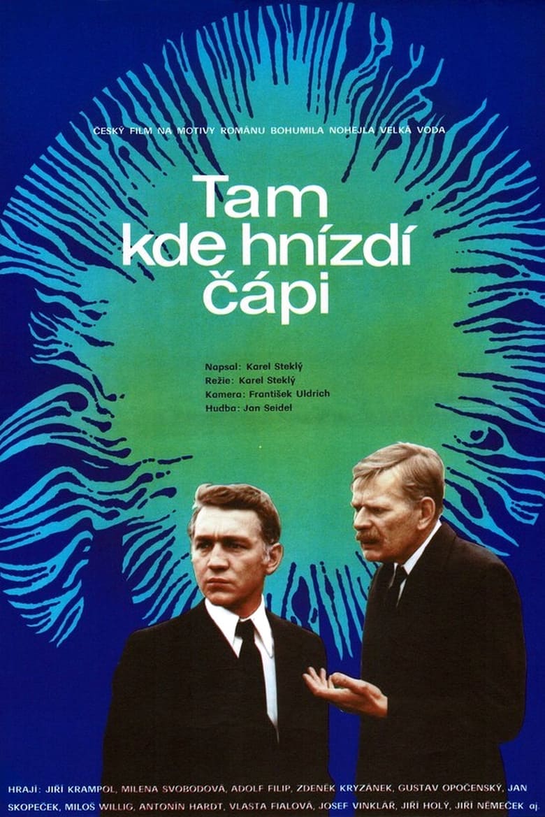 Poster of Tam kde hnízdí čápi