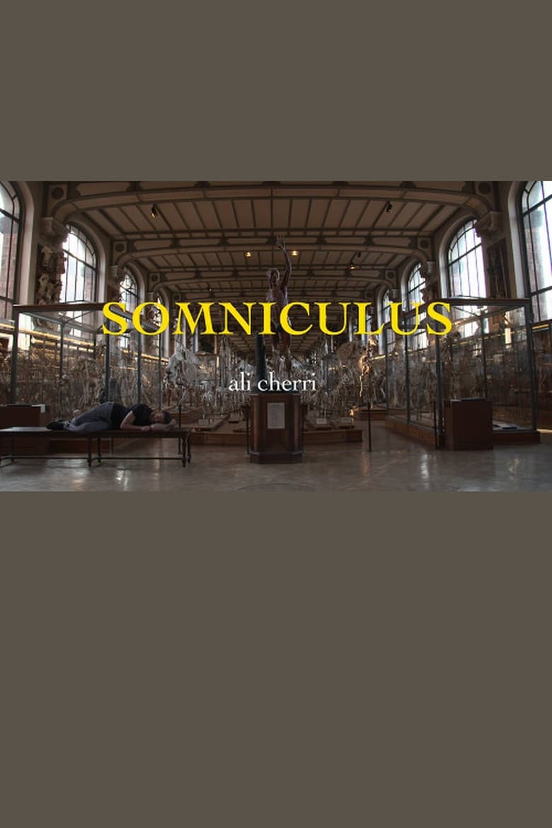 Poster of Somniculus