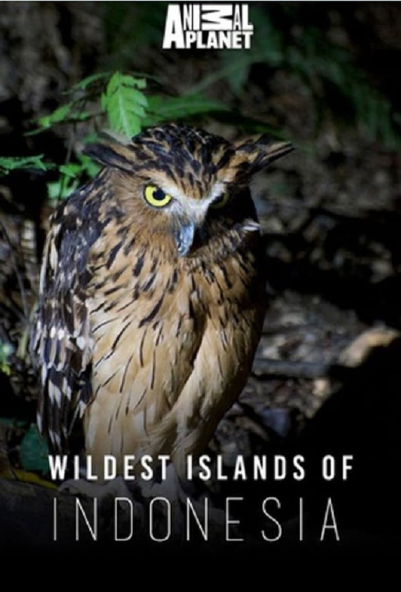 Poster of Wildest Islands of Indonesia