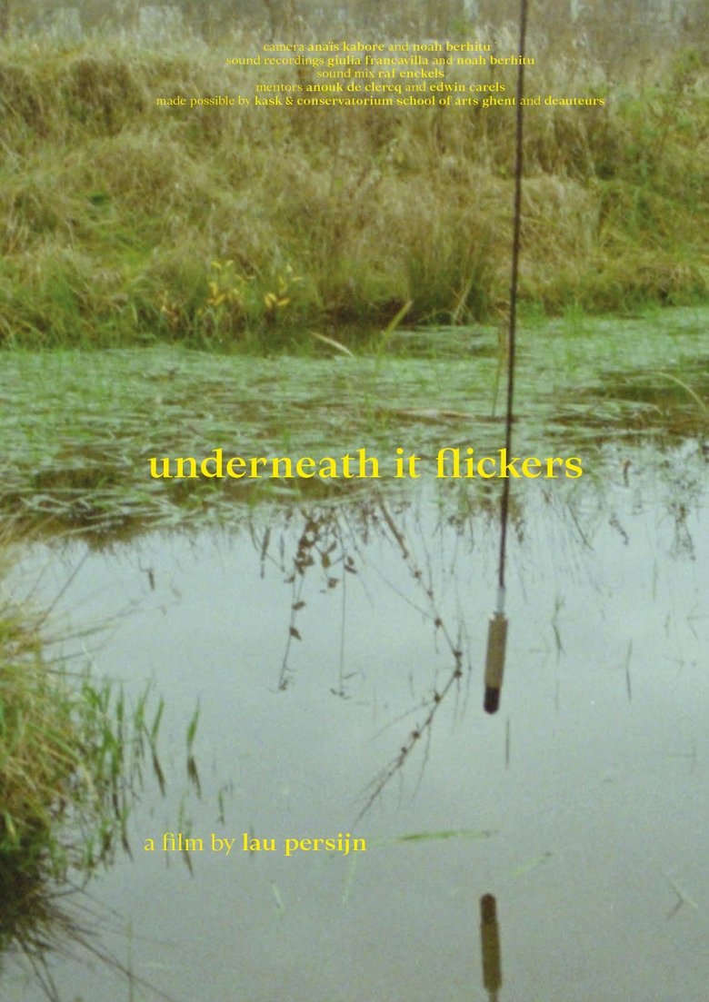 Poster of underneath it flickers