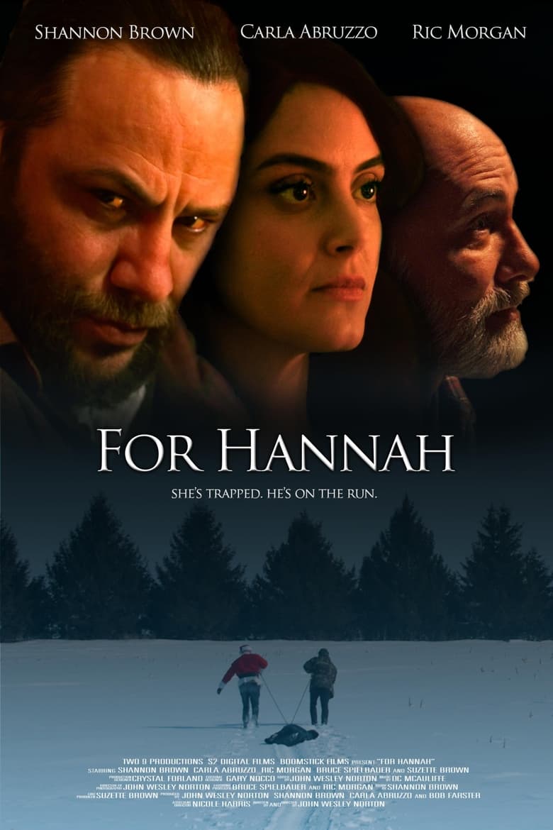 Poster of For Hannah