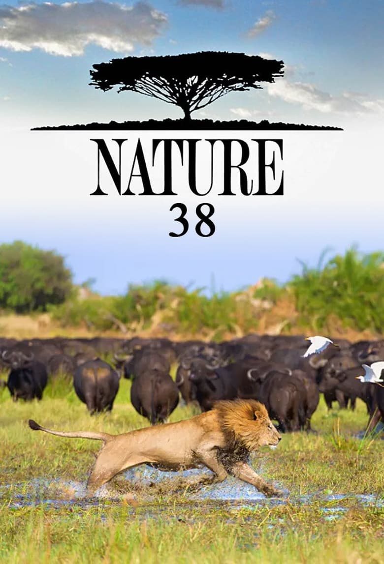 Poster of Cast and Crew in Nature - Season 38 - Episode 18 - Spy in The Wild 2: The Poles