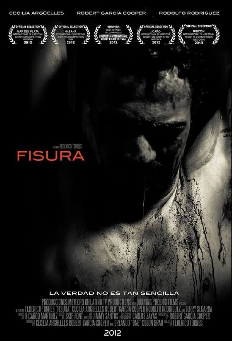 Poster of Fisura