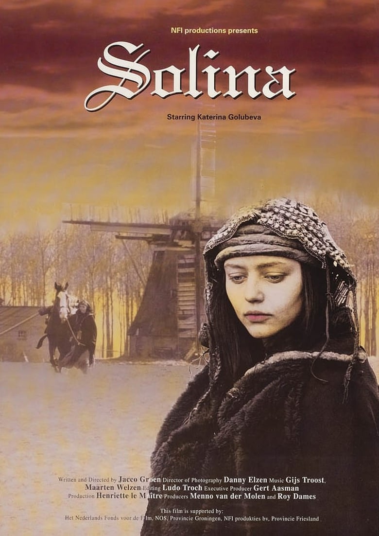 Poster of Solina