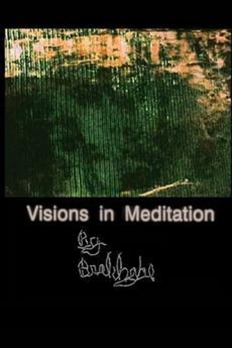 Poster of Visions in Meditation