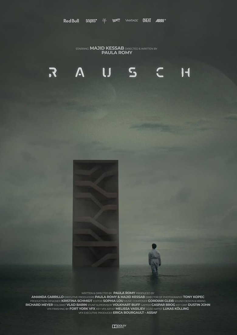 Poster of Rausch