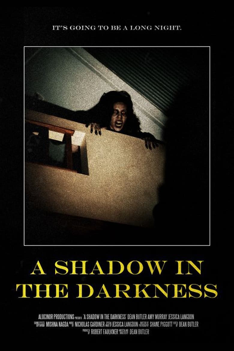 Poster of A Shadow In The Darkness