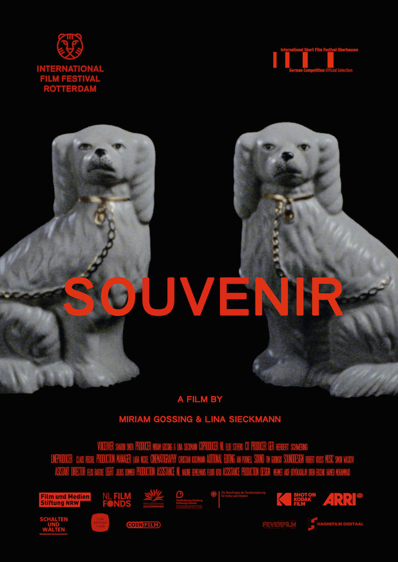 Poster of Souvenir