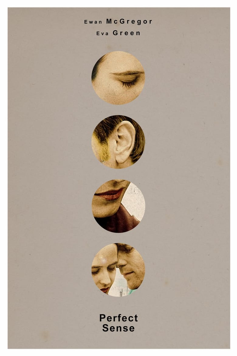 Poster of Perfect Sense