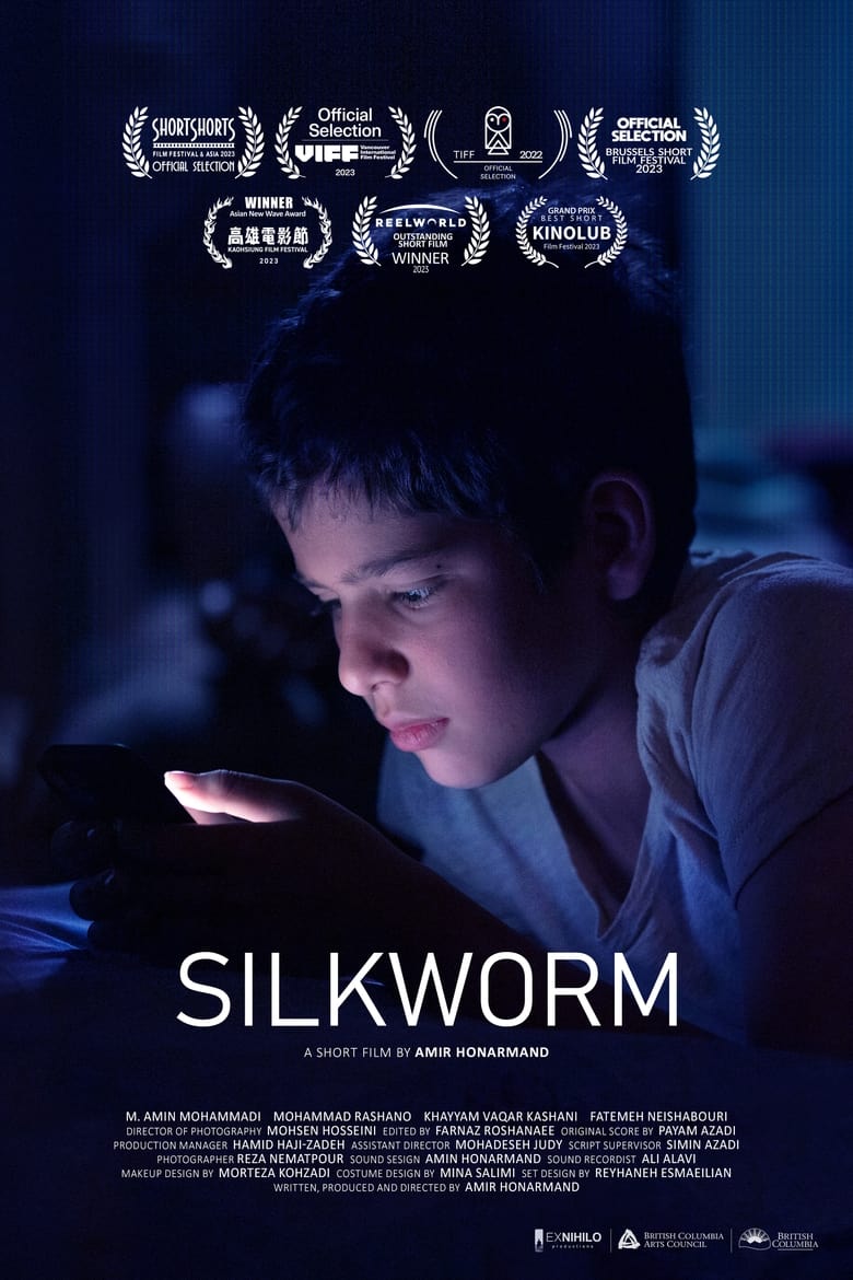 Poster of Silkworm