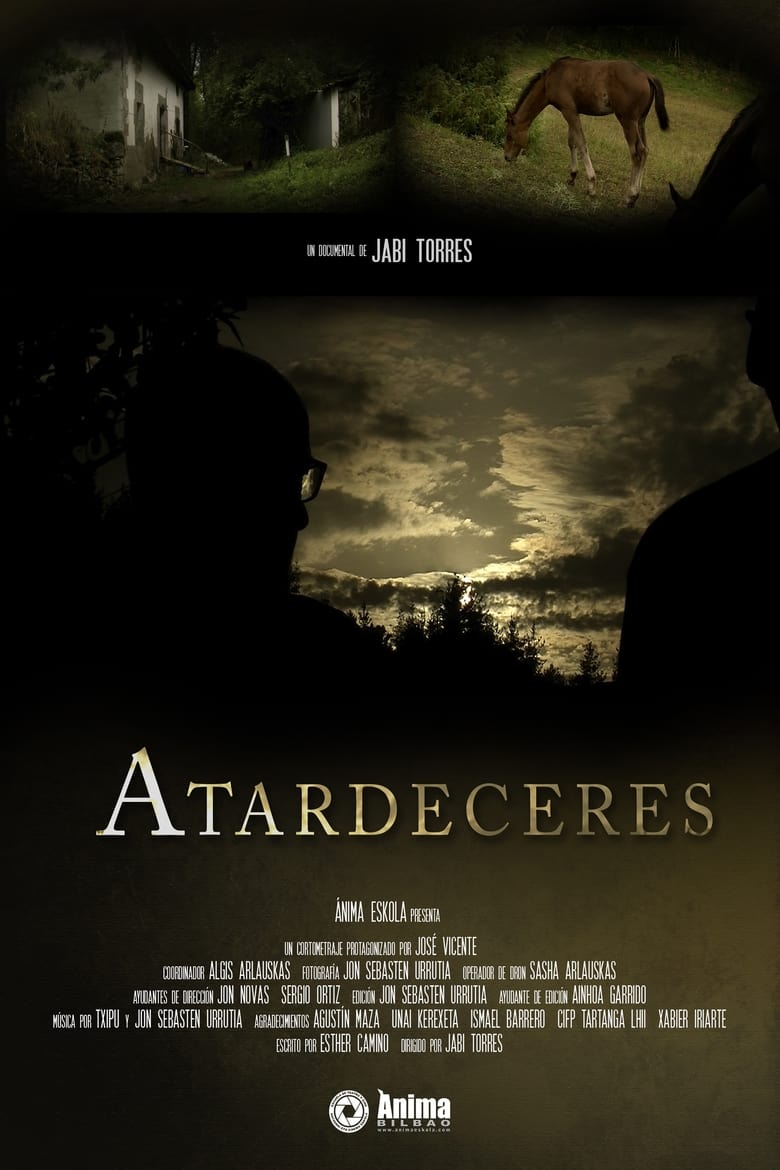 Poster of Atardeceres