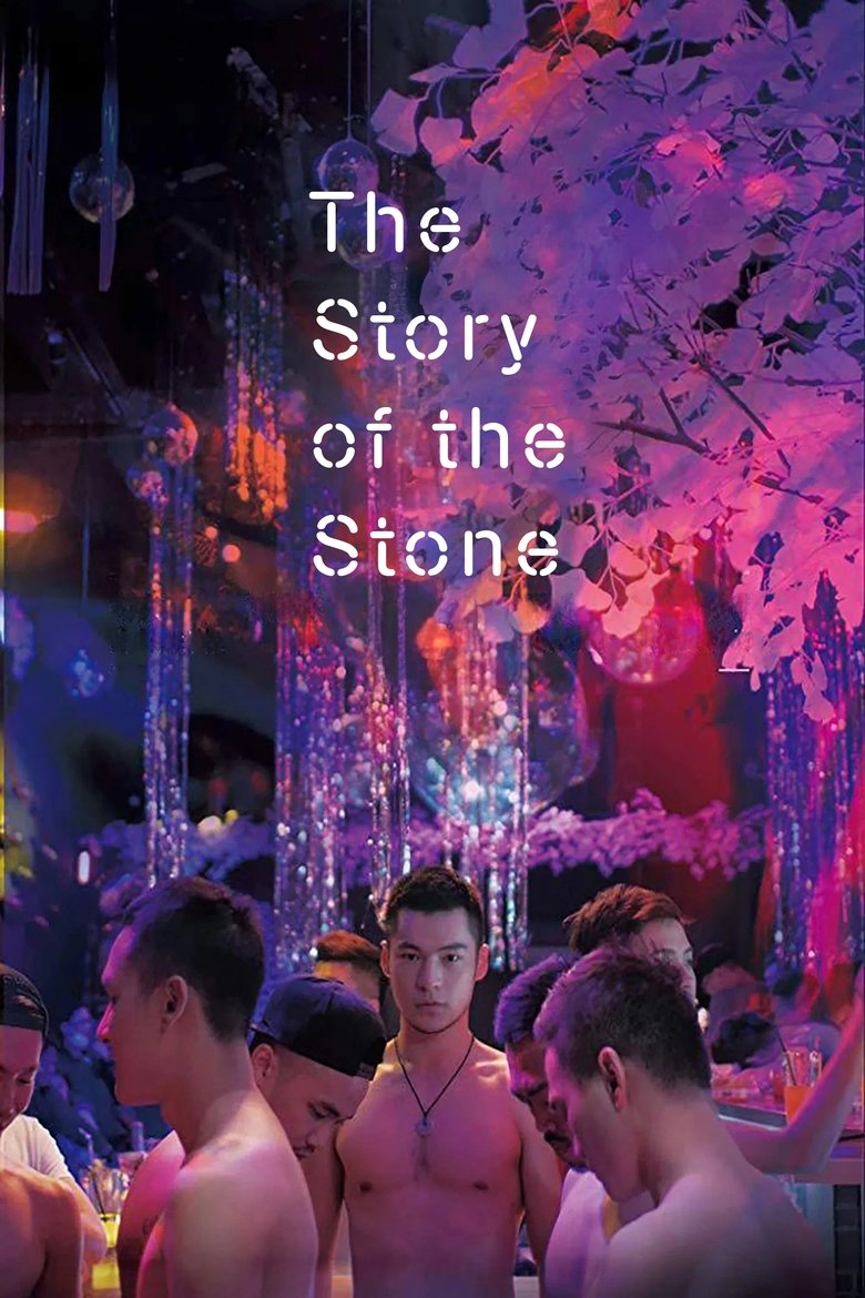 Poster of The Story of the Stone