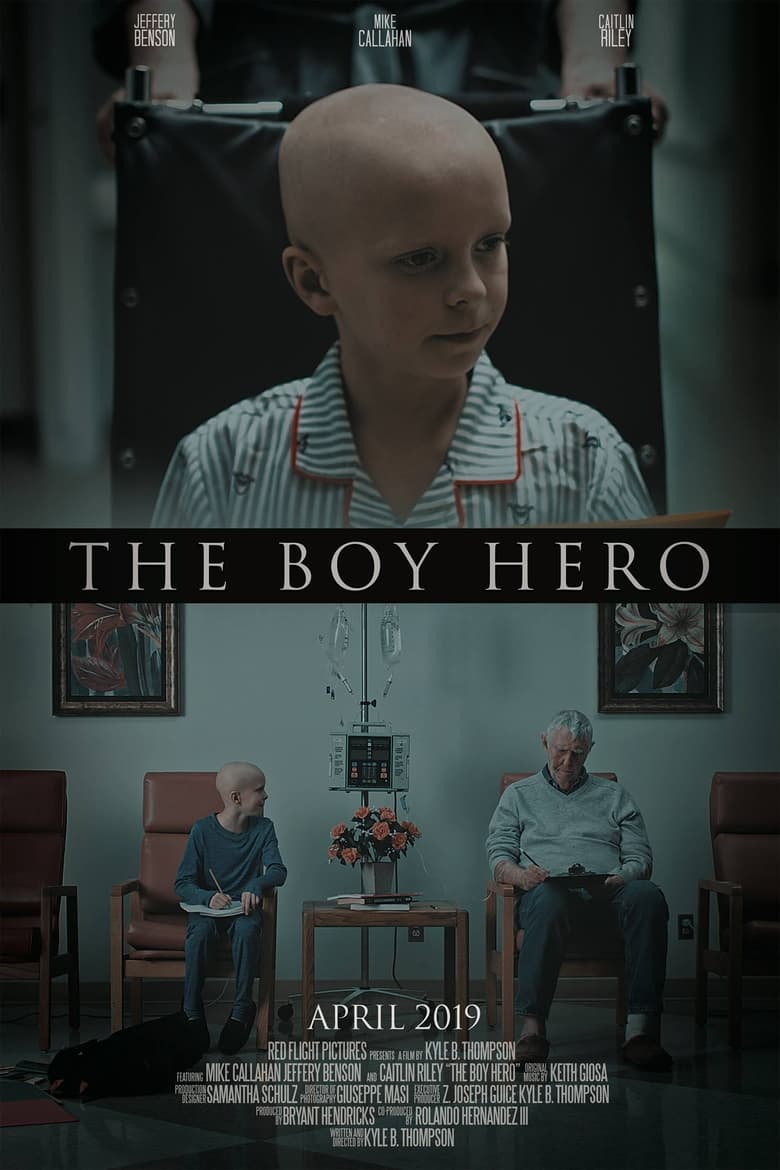 Poster of The Boy Hero