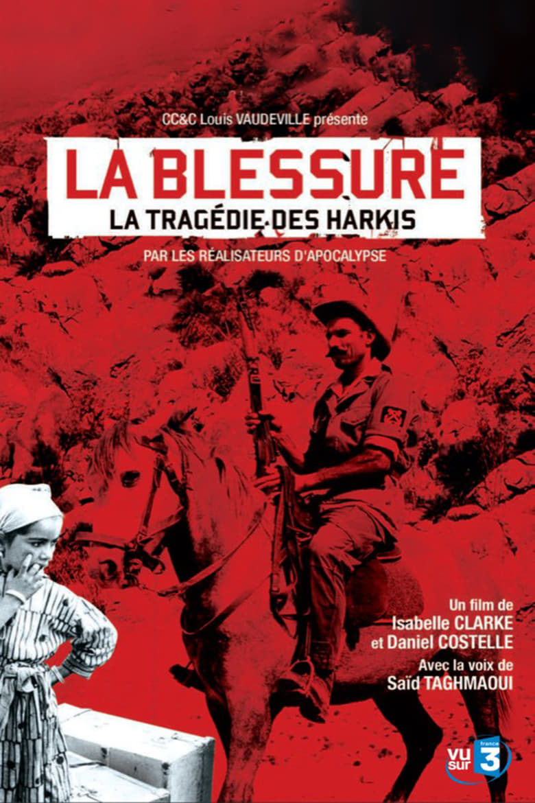 Poster of An Unhealed Wound - The Harkis in the Algerian War