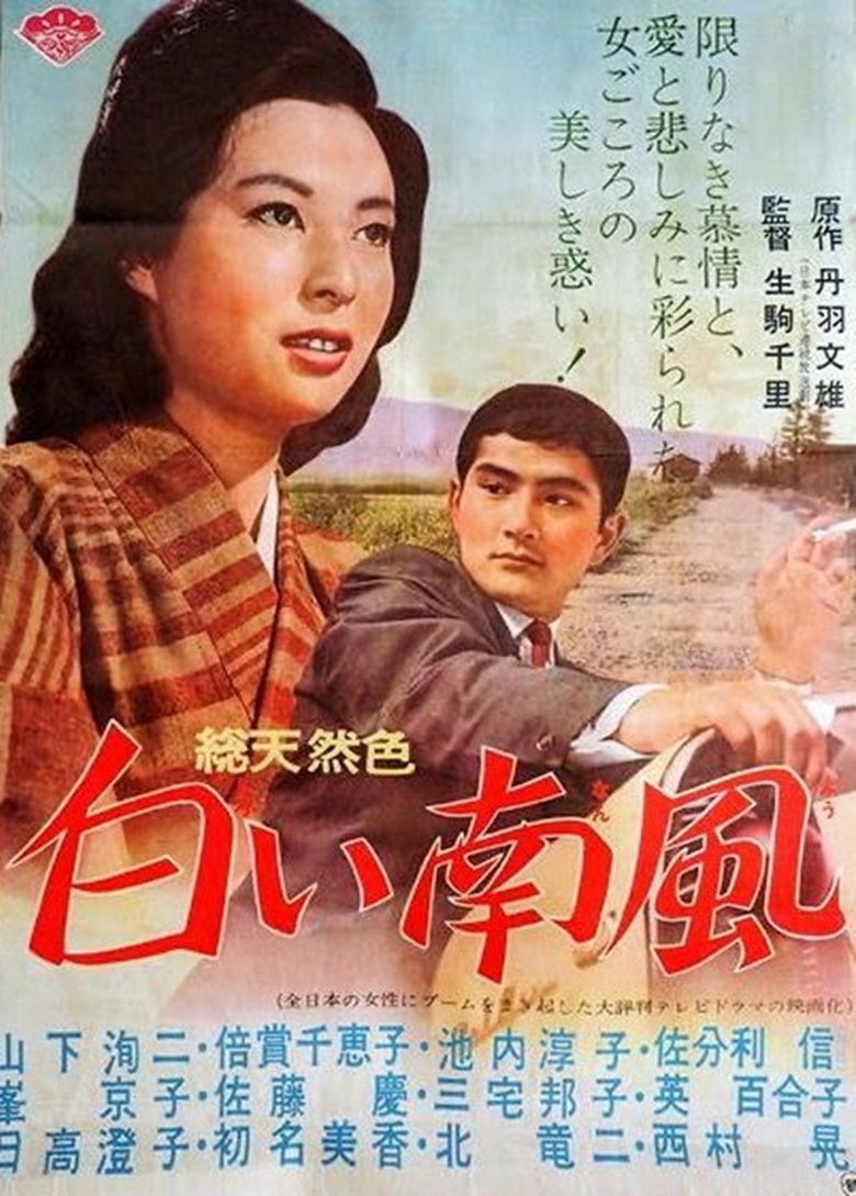 Poster of 白い南風