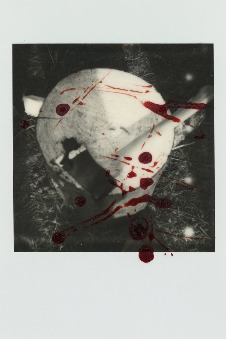 Poster of The Way Blood Flows