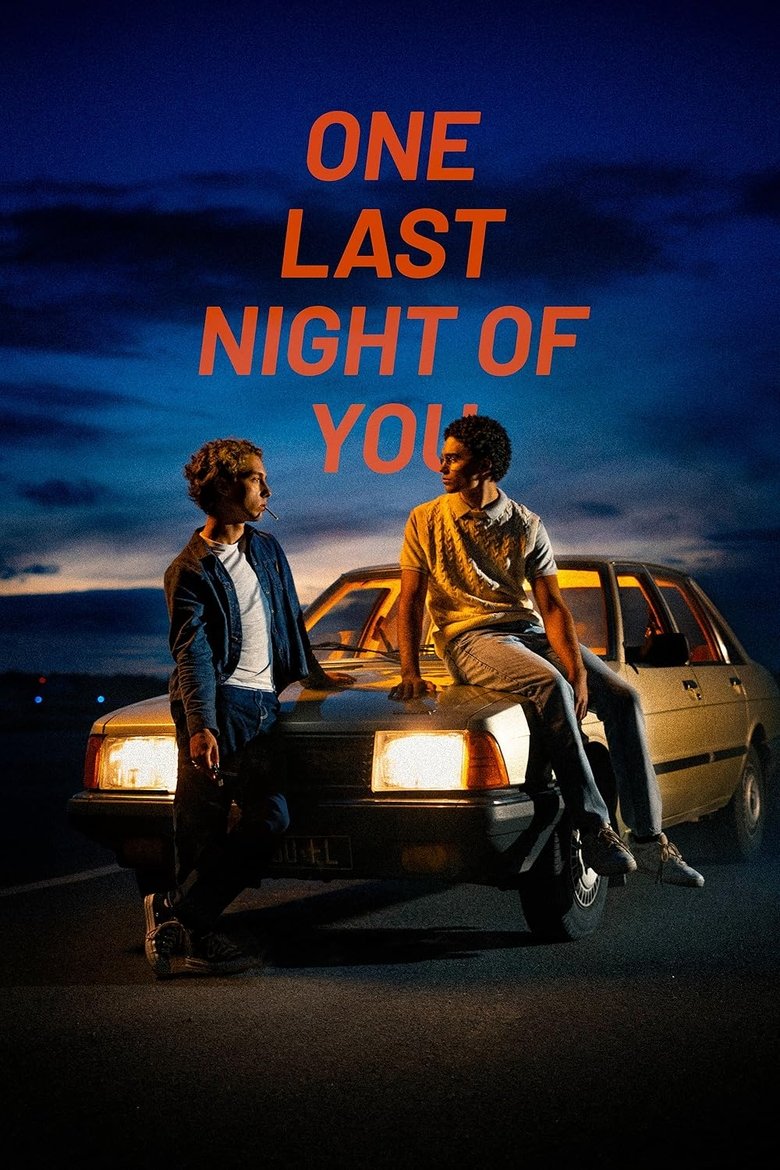 Poster of One Last Night of You