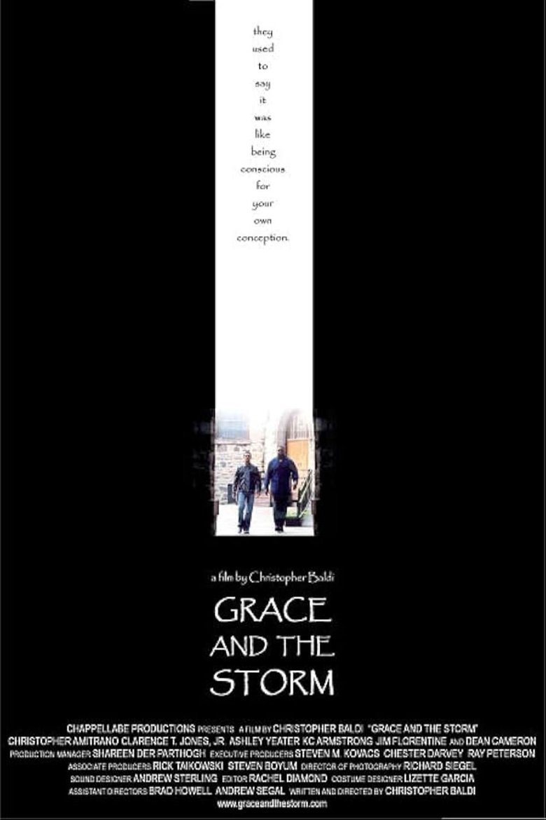 Poster of Grace And The Storm