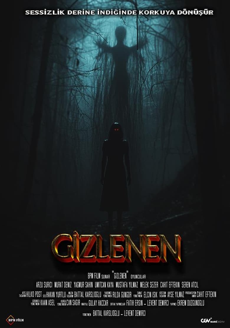 Poster of Gizlenen