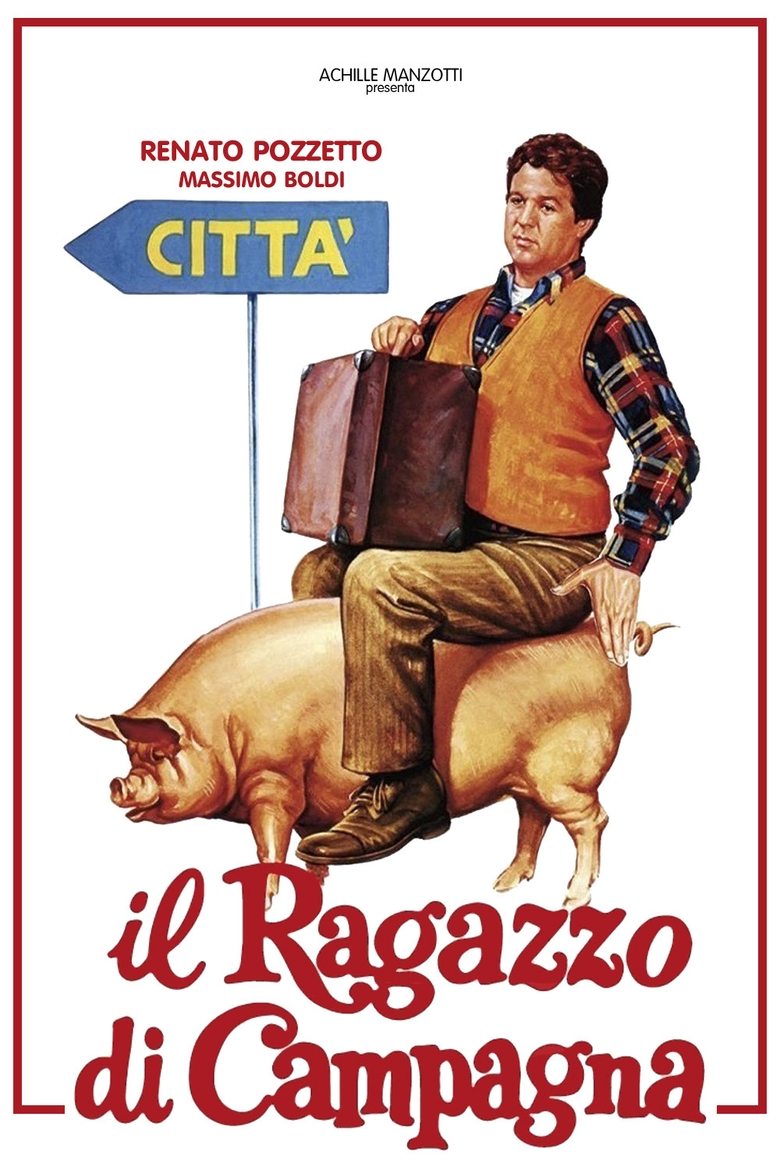 Poster of Il ragazzo di campagna