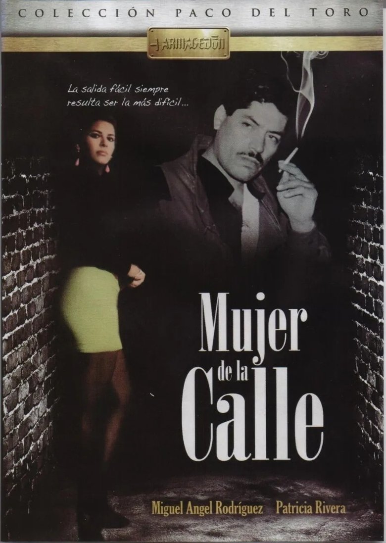 Poster of Mujer de la calle