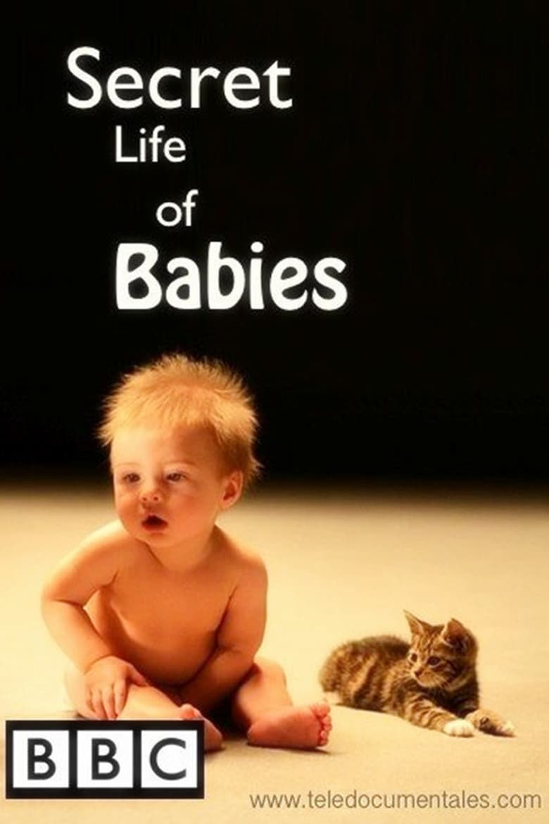 Poster of Secret Life of Babies