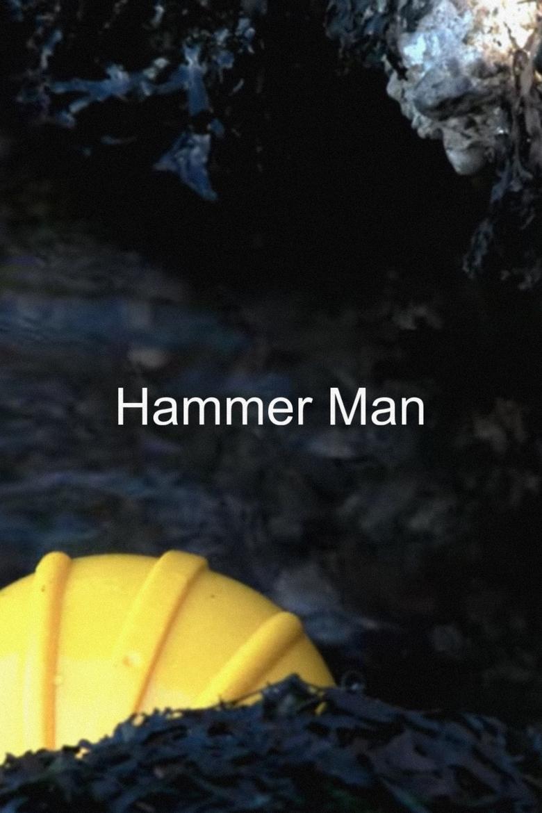 Poster of Hammer Man