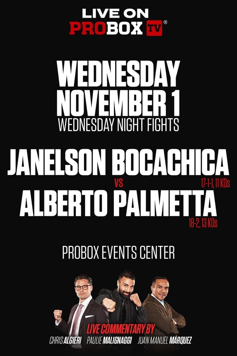 Poster of Janelson Bocachica vs. Alberto Palmetta