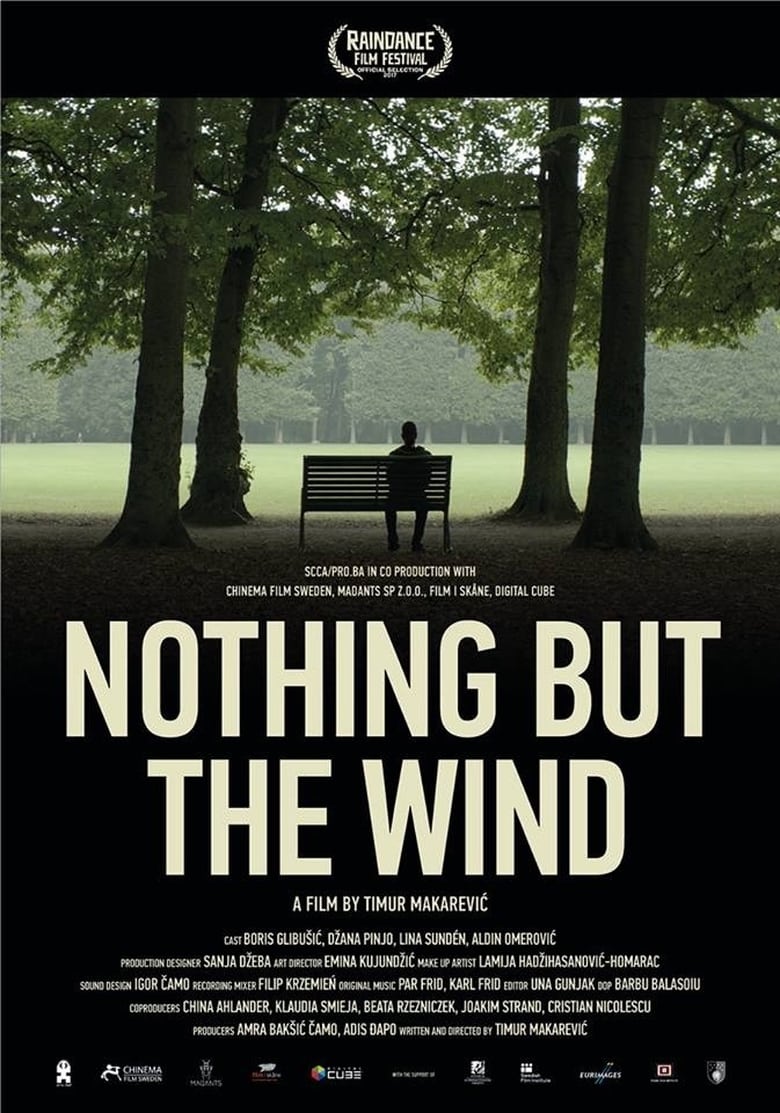 Poster of Nothing But the Wind