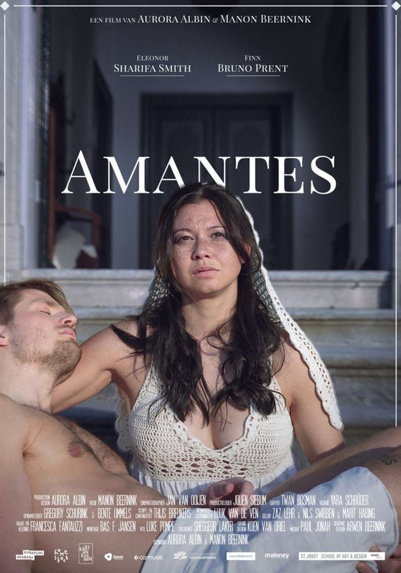 Poster of Amantes