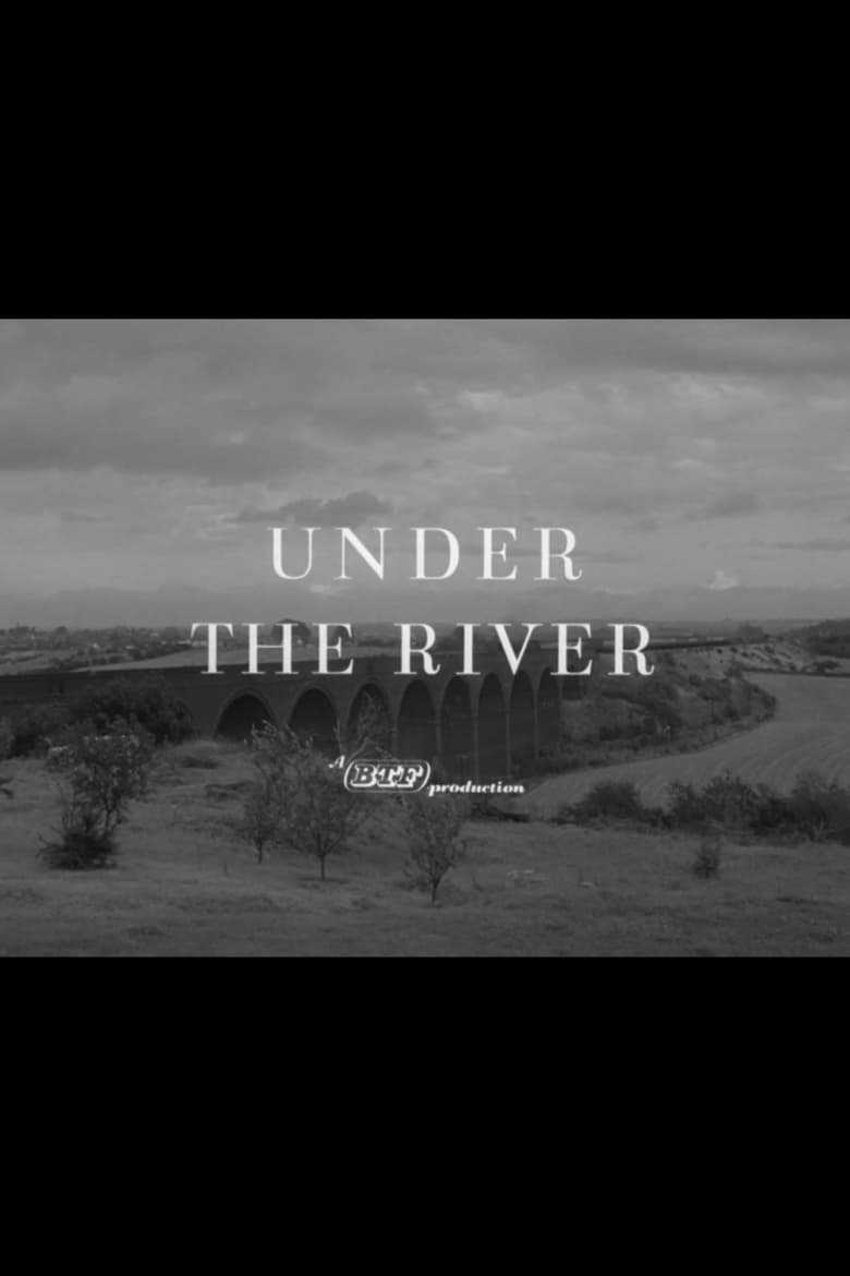 Poster of Under the River