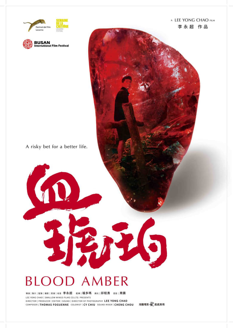 Poster of Blood Amber