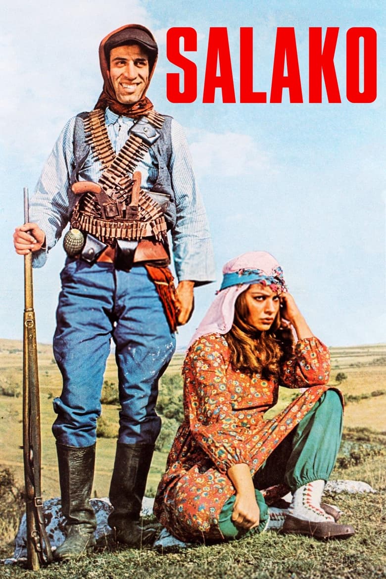 Poster of Salako