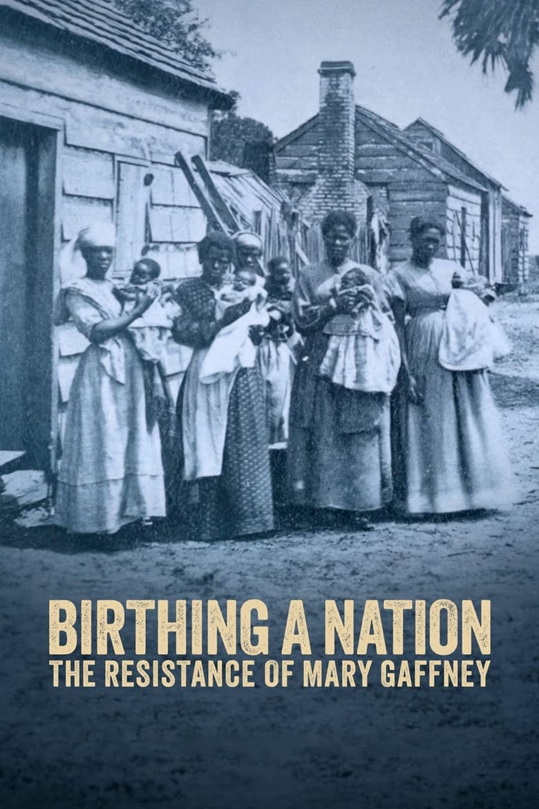 Poster of Birthing a Nation: The Resistance of Mary Gaffney