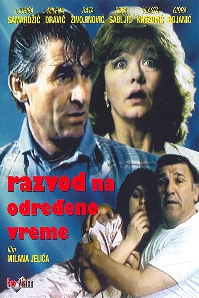 Poster of Part-Time Divorce