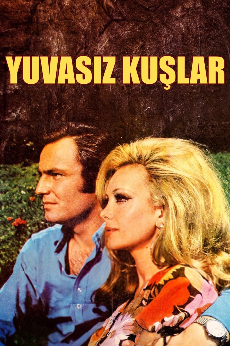 Poster of Yuvasız Kuşlar