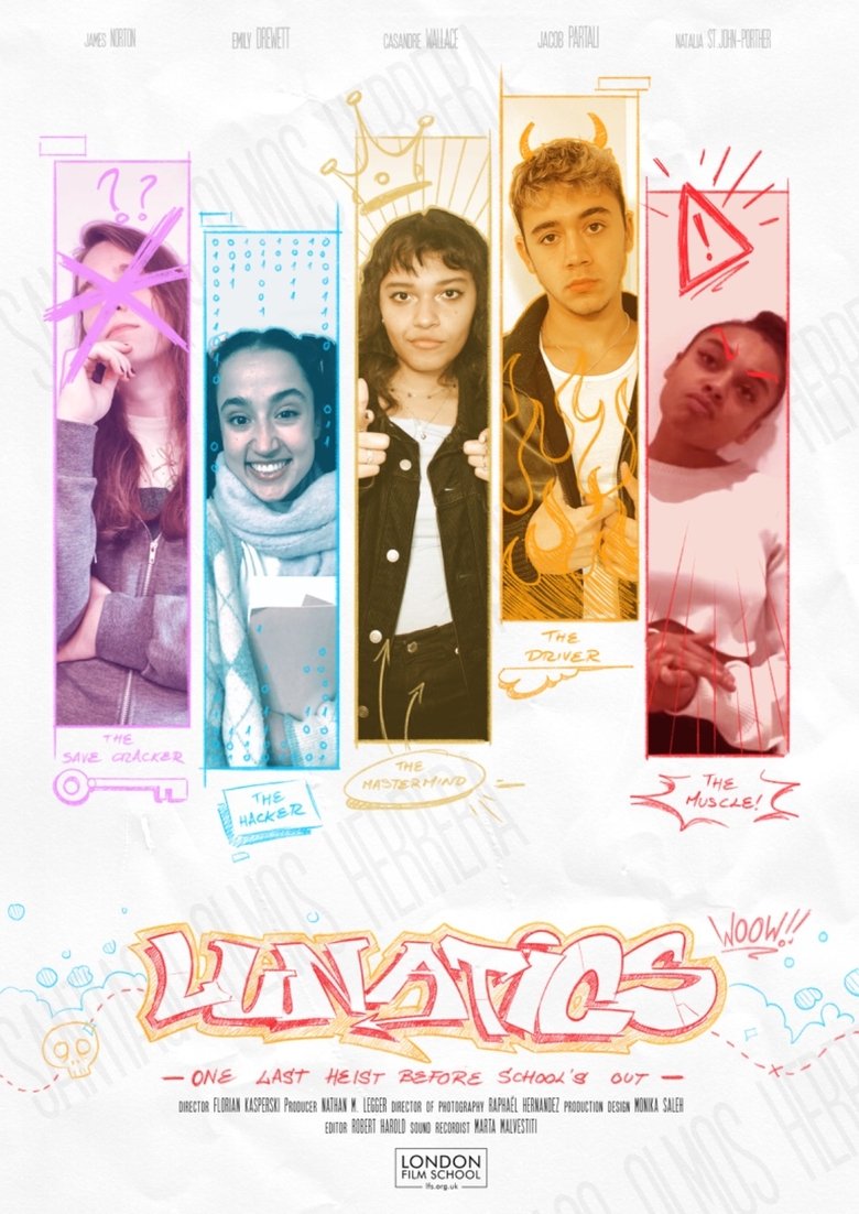 Poster of Lunatics