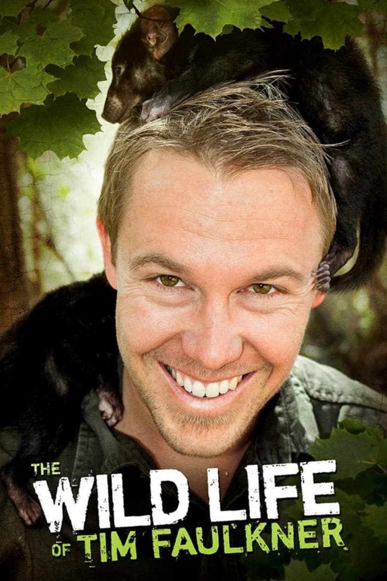 Poster of The Wild Life of Tim Faulkner