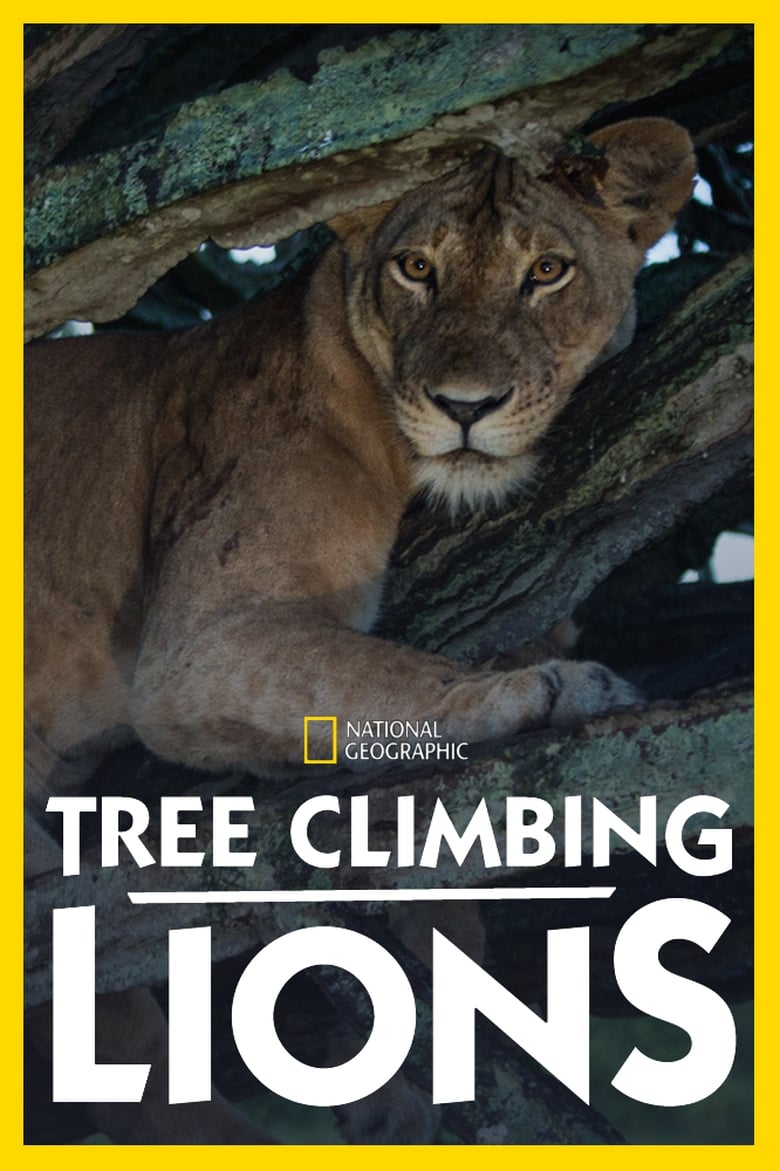 Poster of Tree Climbing Lions