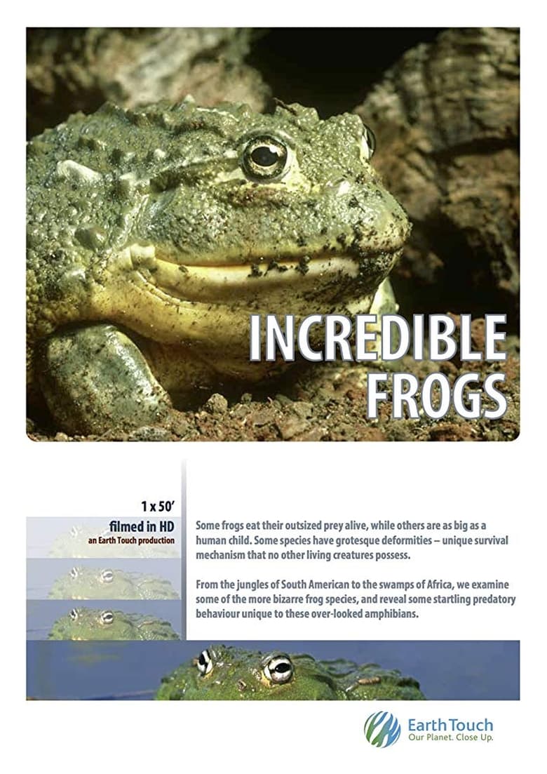 Poster of Incredible frogs