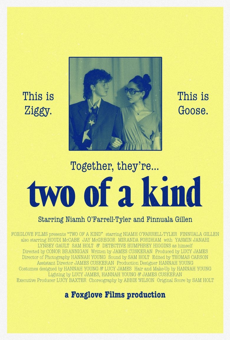 Poster of Two of a Kind