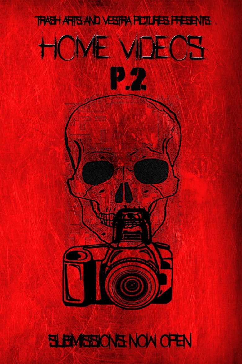 Poster of Home Videos 2