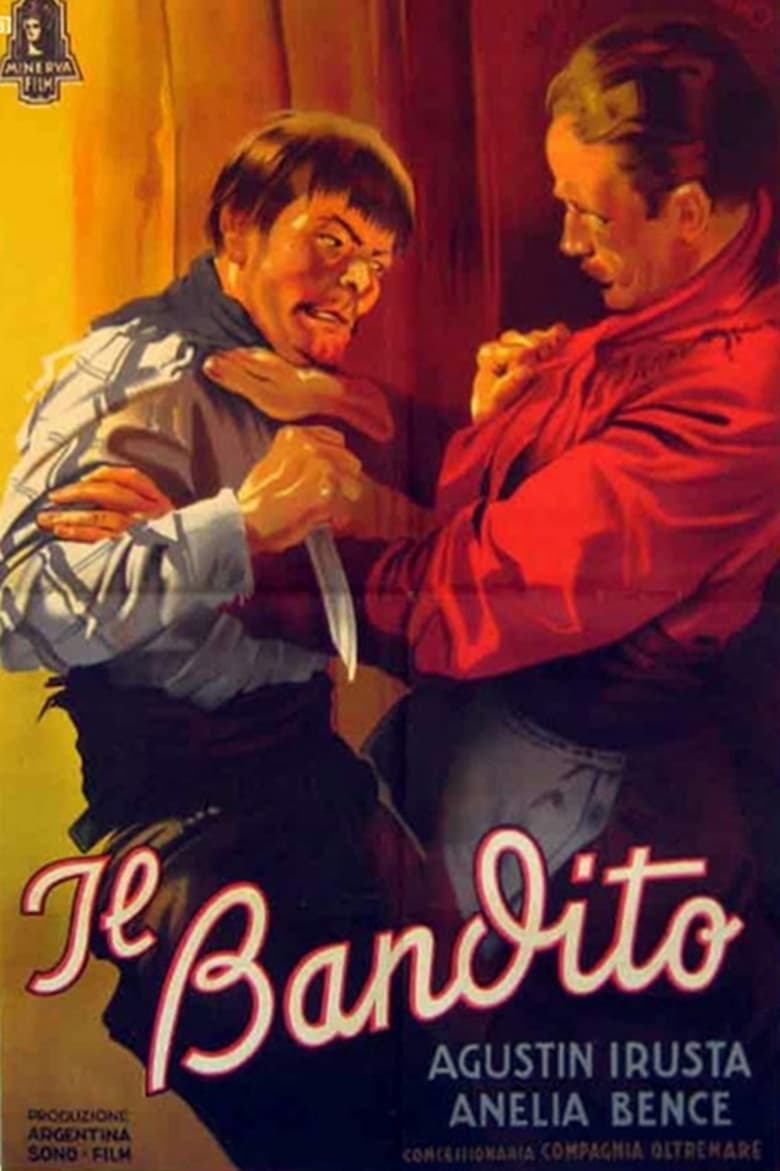 Poster of El matrero