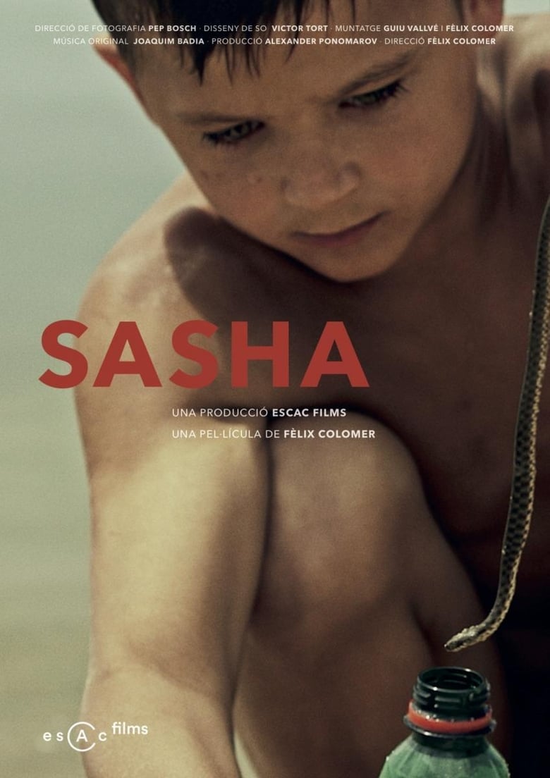 Poster of Sasha