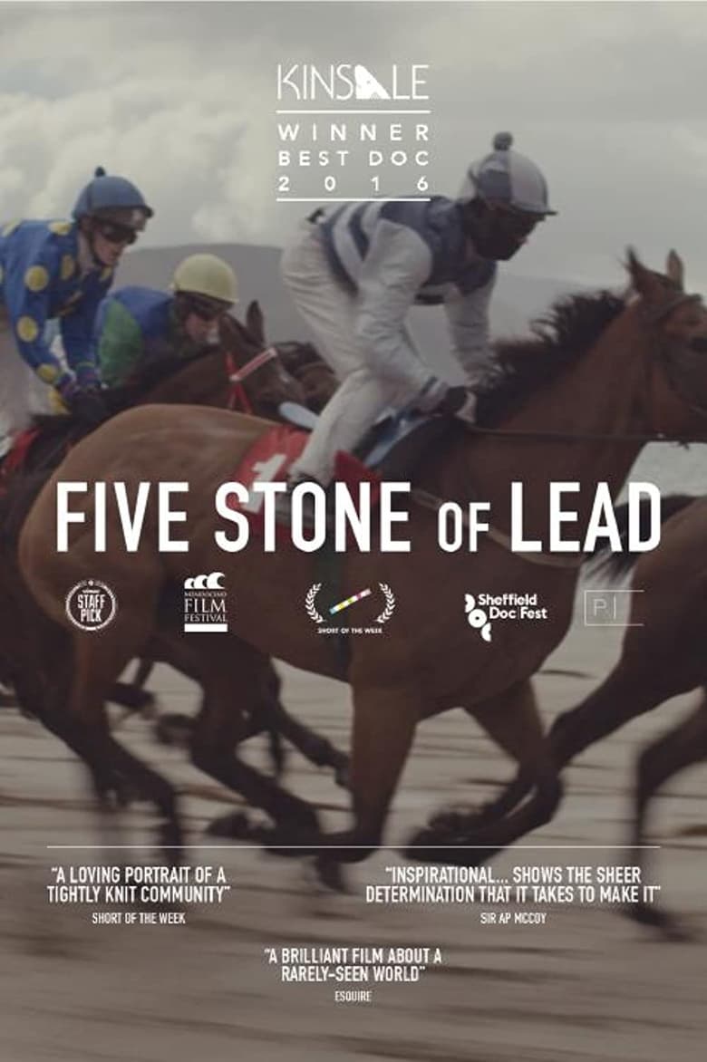 Poster of Five Stone of Lead