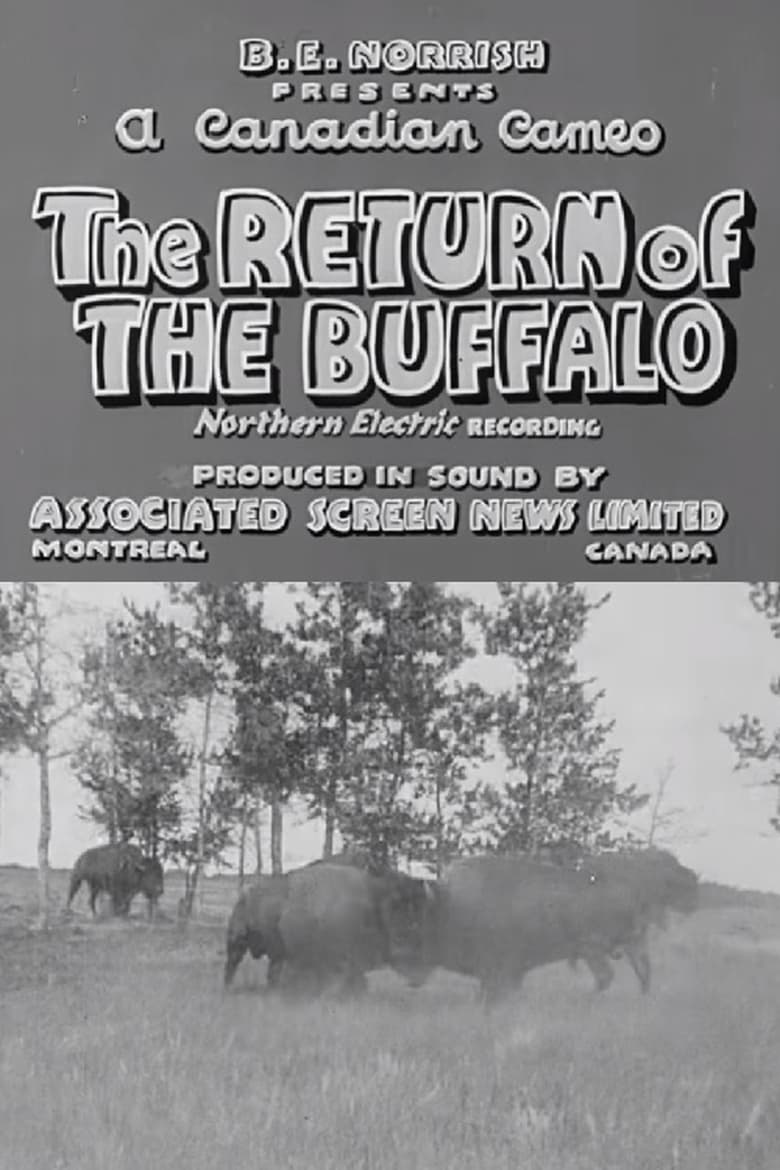 Poster of Return of the Buffalo