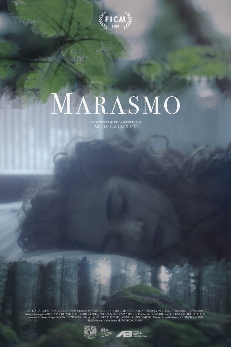 Poster of Marasmus